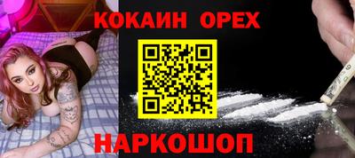 гидра Будённовск