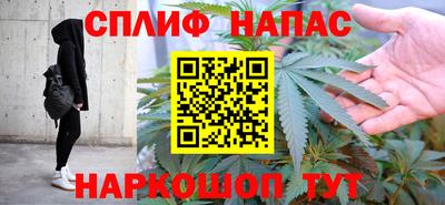гидра Будённовск
