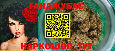 гидра Будённовск