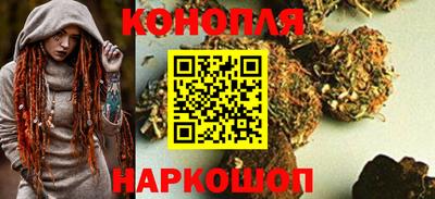 гидра Будённовск