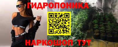 гидра Будённовск
