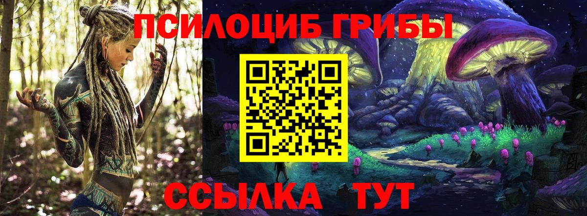Псилоцибиновые грибы GOLDEN TEACHER Чайковский
