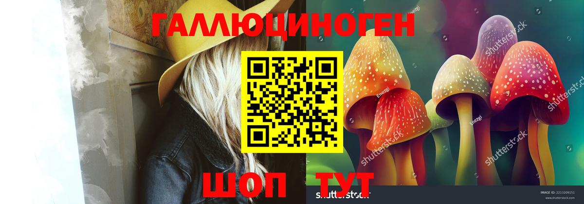 Чайковский  Галлюциногенные грибы Magic Shrooms  Вход с VPN  Псилоцибиновые грибы GOLDEN TEACHER 